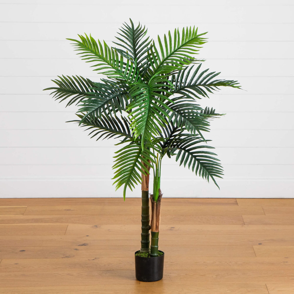 Nearly Natural 4ft UV resistant artificial double Robellini palm tree in black planter on Tampa Home & Garden Store