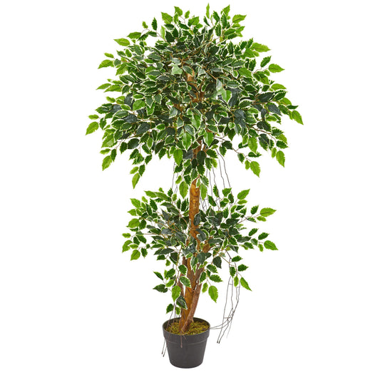 4’ Variegated Ficus Artificial Tree Nearly Natural in black pot with moss and green variegated leaves on Tampa Home & Garden Store