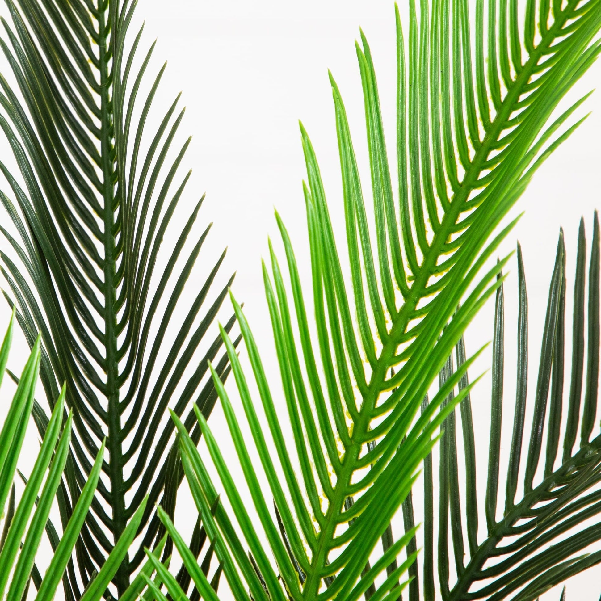 Artificial cycas palm fronds close-up with vibrant green leaves on Tampa Home & Garden Store