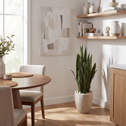 Nearly Natural 40in artificial Sansevieria in sand planter, tall indoor plant with white stones on Tampa Home & Garden Store