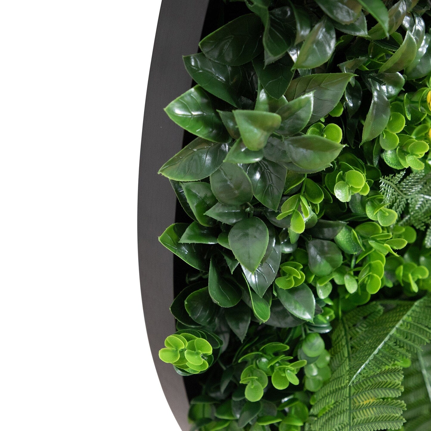40 Inch Artificial Living Wall and Black Panel