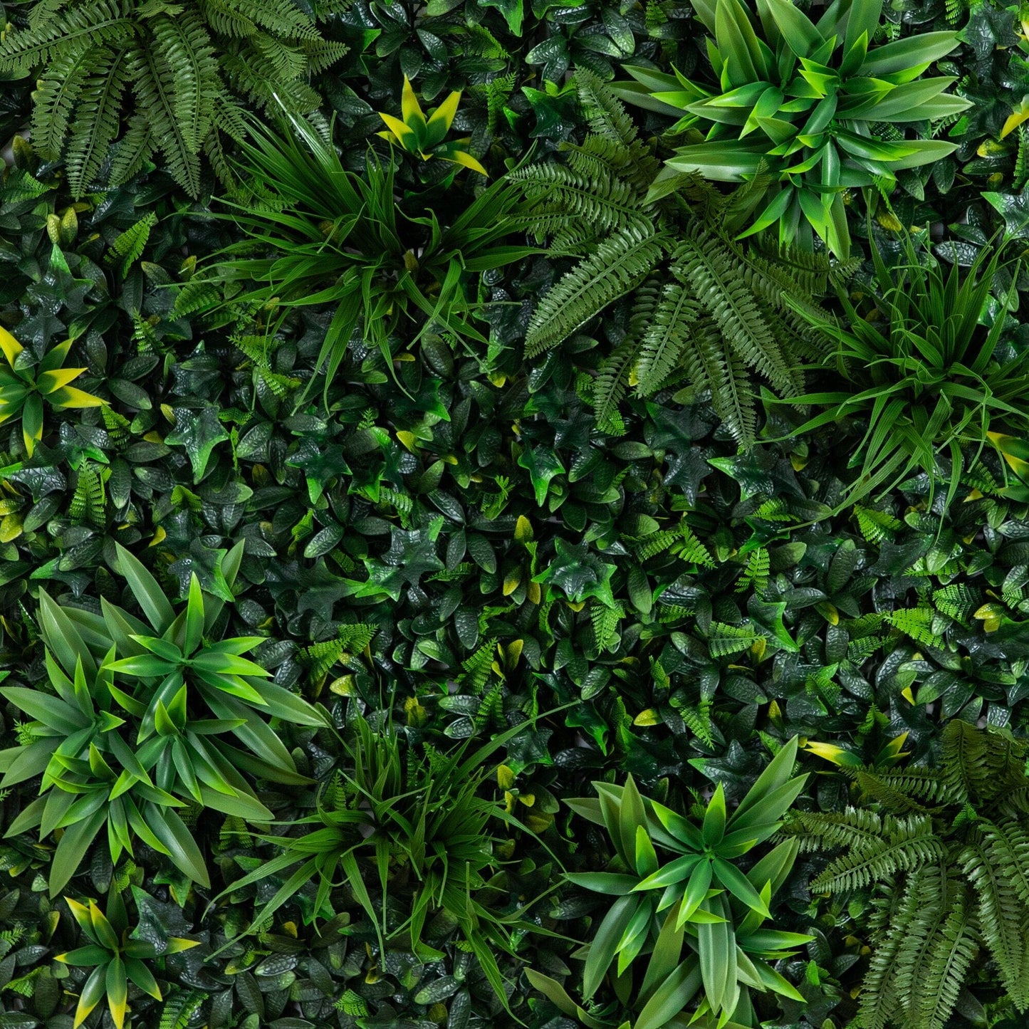 Andean Cloud Forest Living Wall and Garden Decor