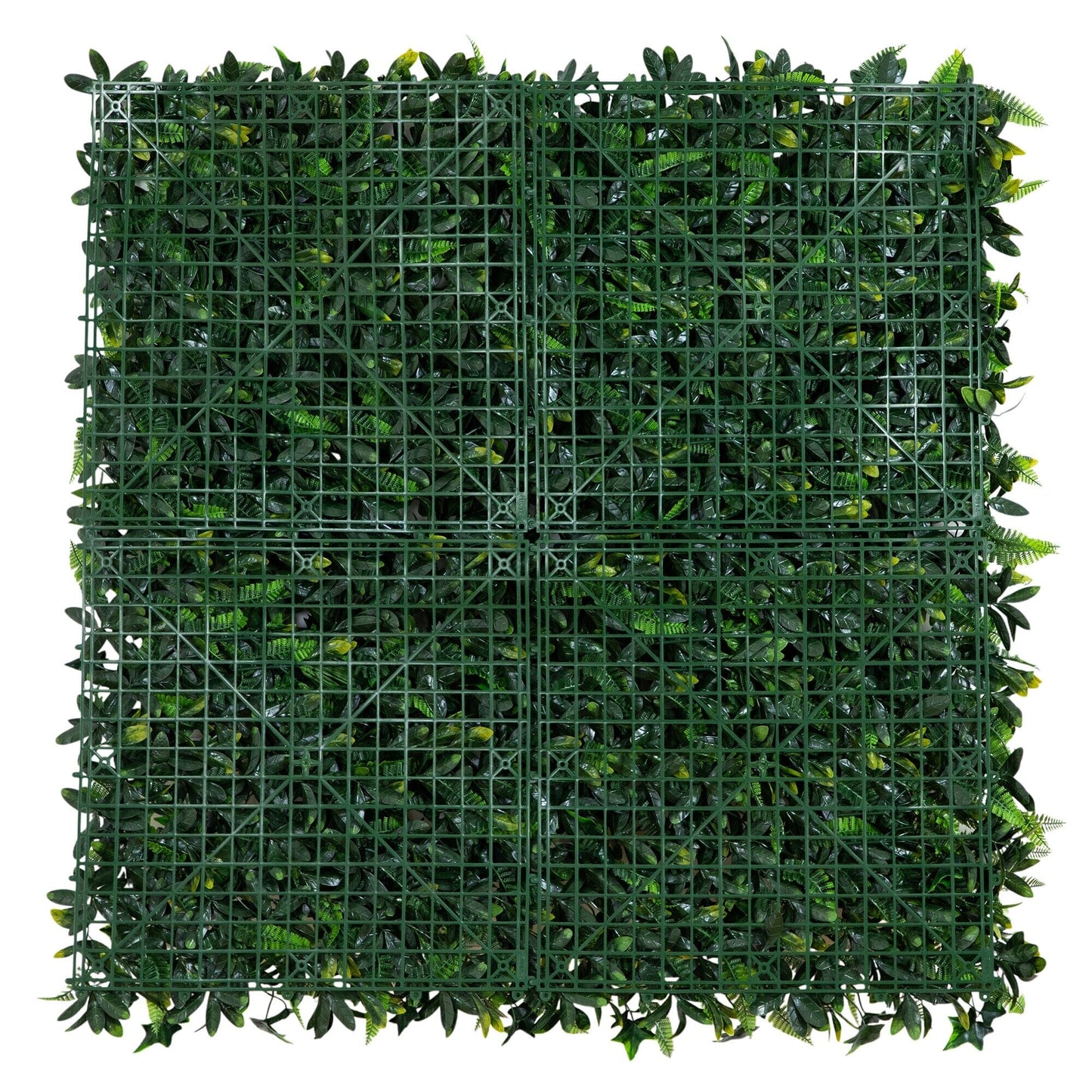 Andean Cloud Forest Living Wall and Garden Decor