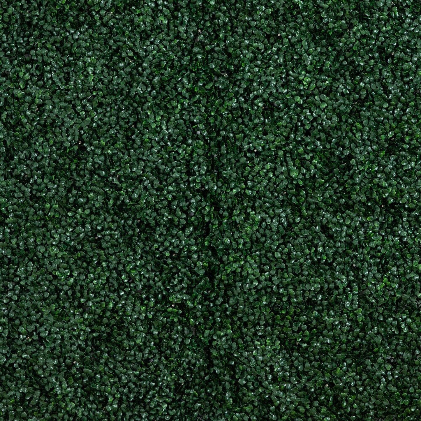 Artificial Boxwood Wall Panel with Led Lights