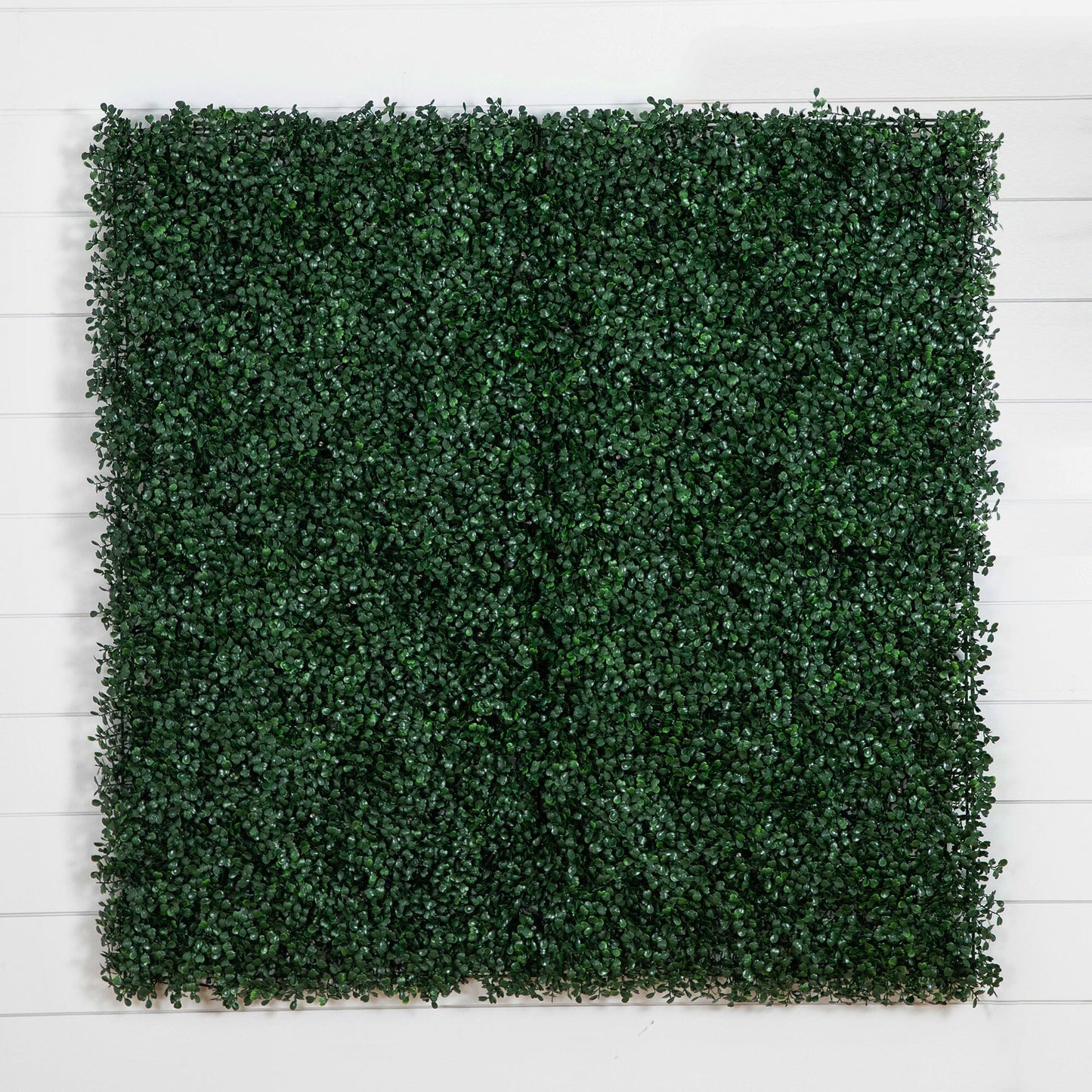 Artificial Boxwood Wall Panel with Led Lights