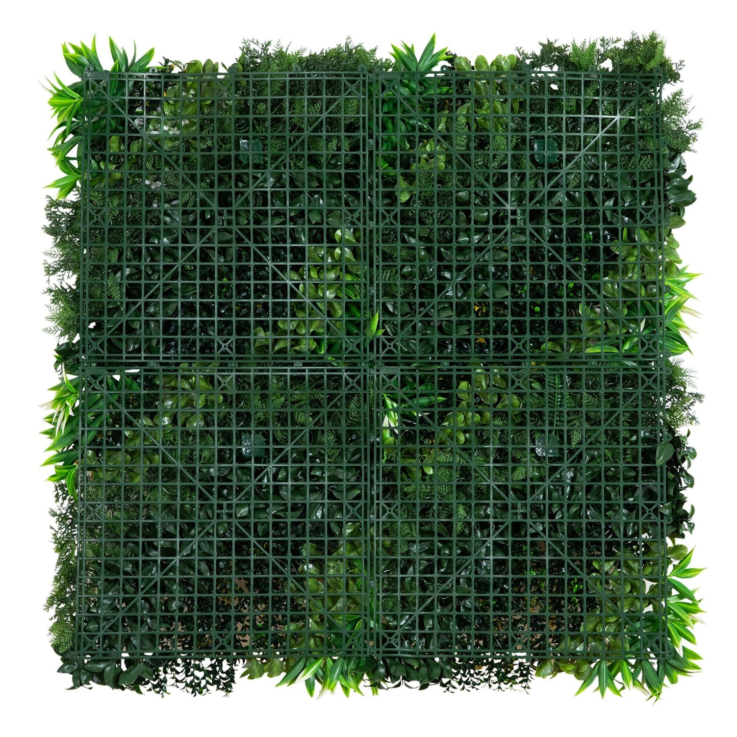Hawaiian Islands and Artificial Living Walls