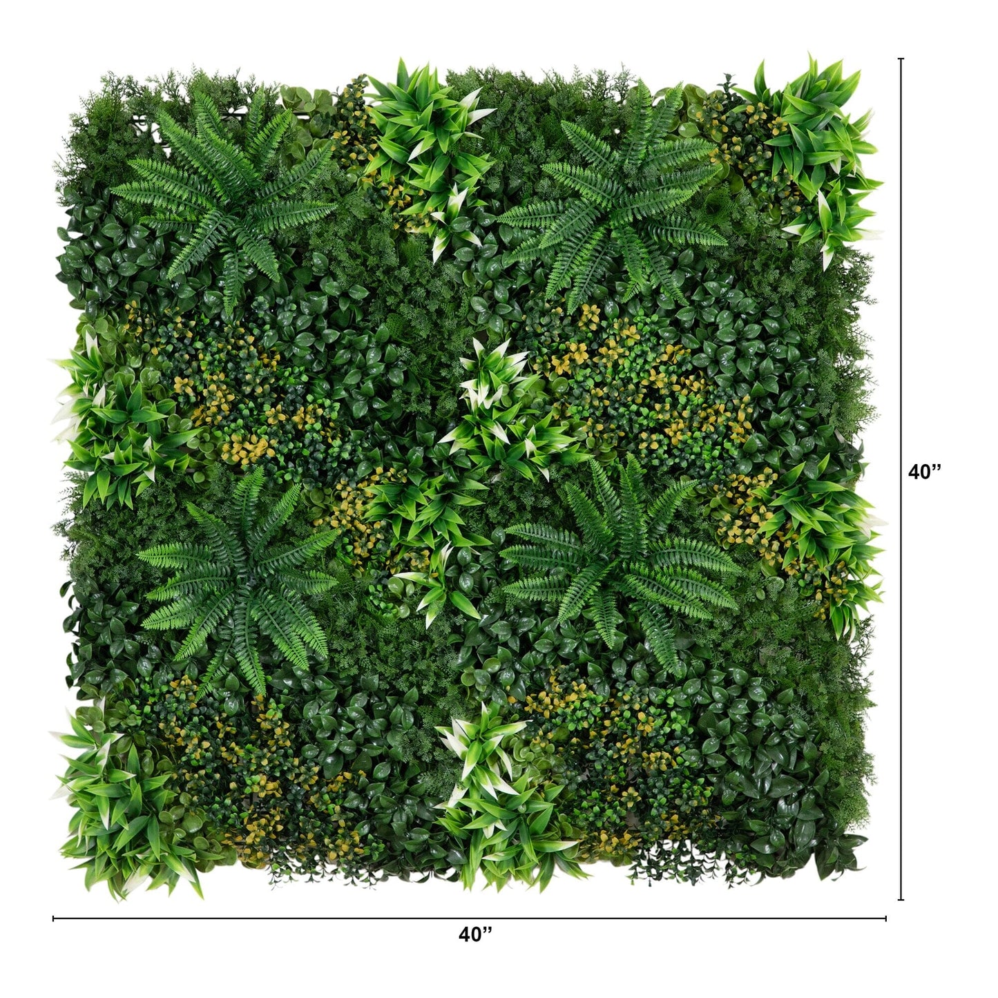 Hawaiian Islands and Artificial Living Walls