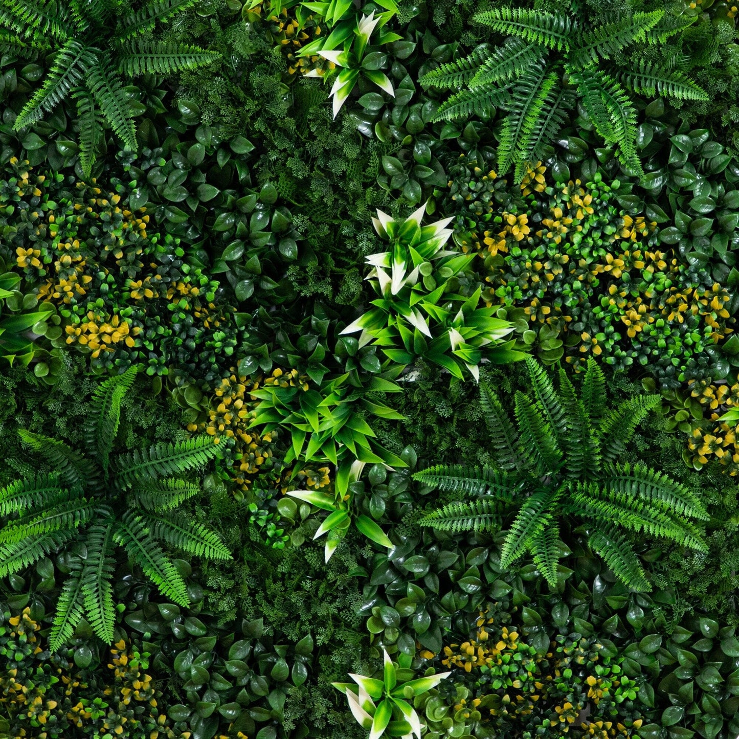 Hawaiian Islands and Artificial Living Walls