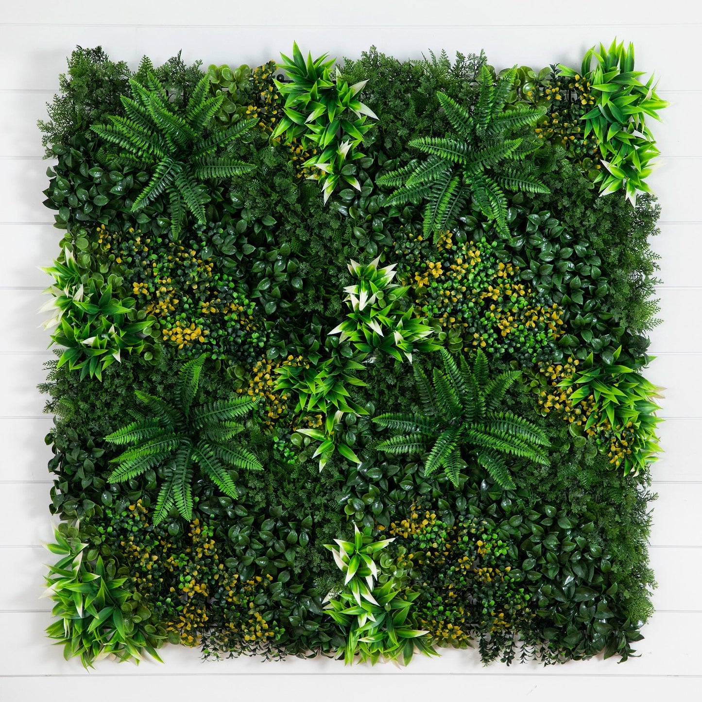 Hawaiian Islands and Artificial Living Walls