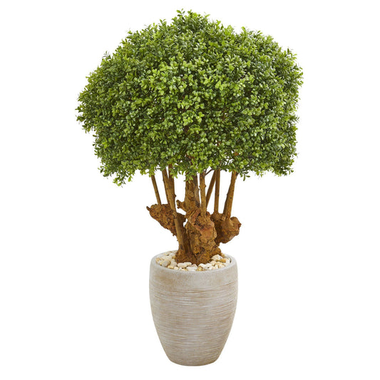 Nearly Natural 41in boxwood topiary tree in sandstone planter for indoor/outdoor on Tampa Home & Garden Store