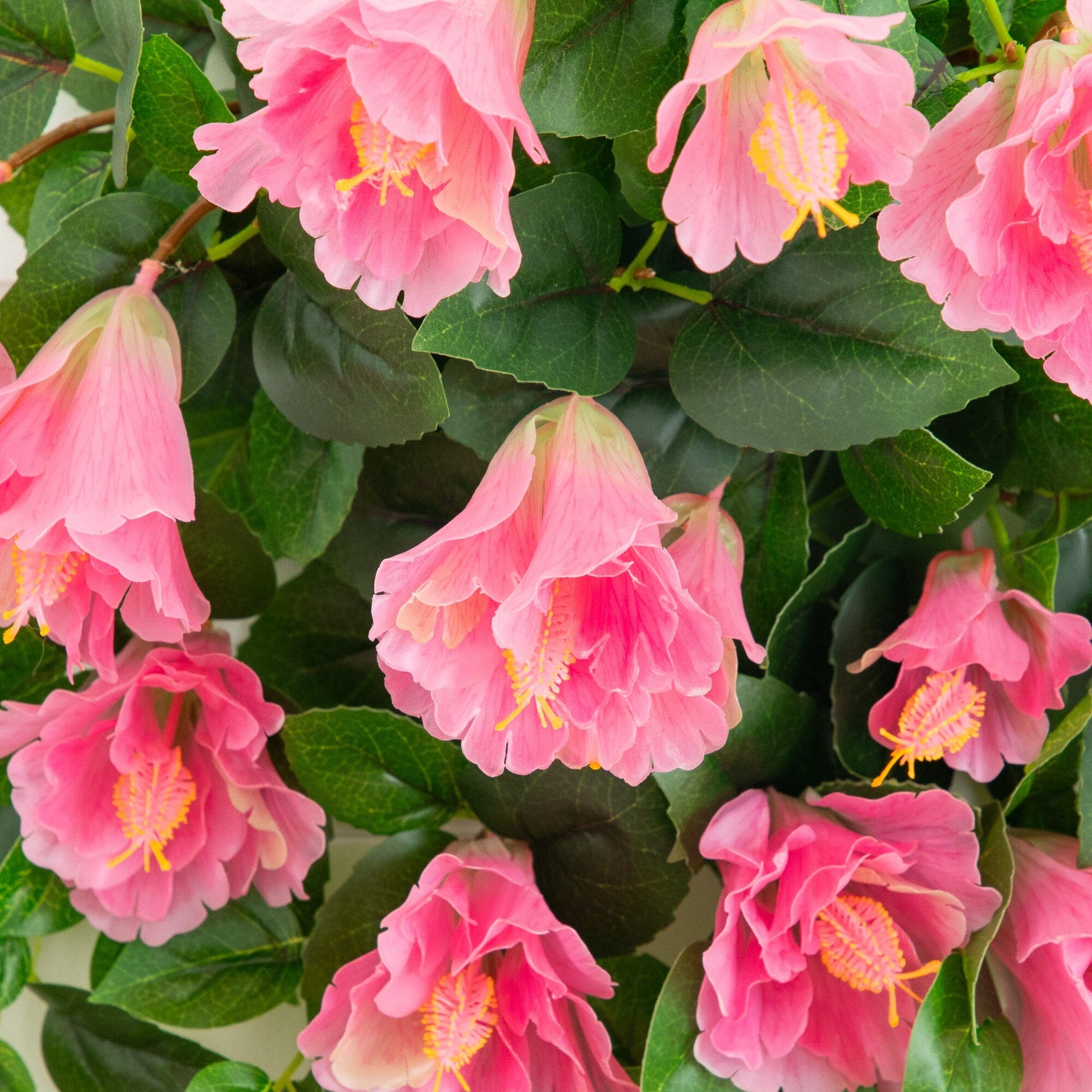 Hibiscus hanging plant set of 2 by Nearly Natural, pink UV-resistant artificial blooms 41in on Tampa Home & Garden Store