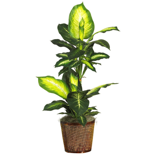 Dieffenbachia Silk Plant 42in Golden in woven basket Nearly Natural on Tampa Home & Garden Store