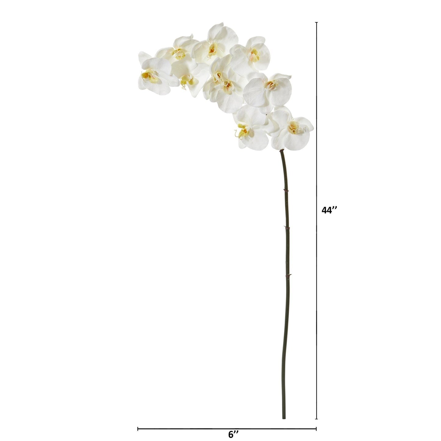 Artificial 44 Inch Phalaenopsis Orchid and Stem