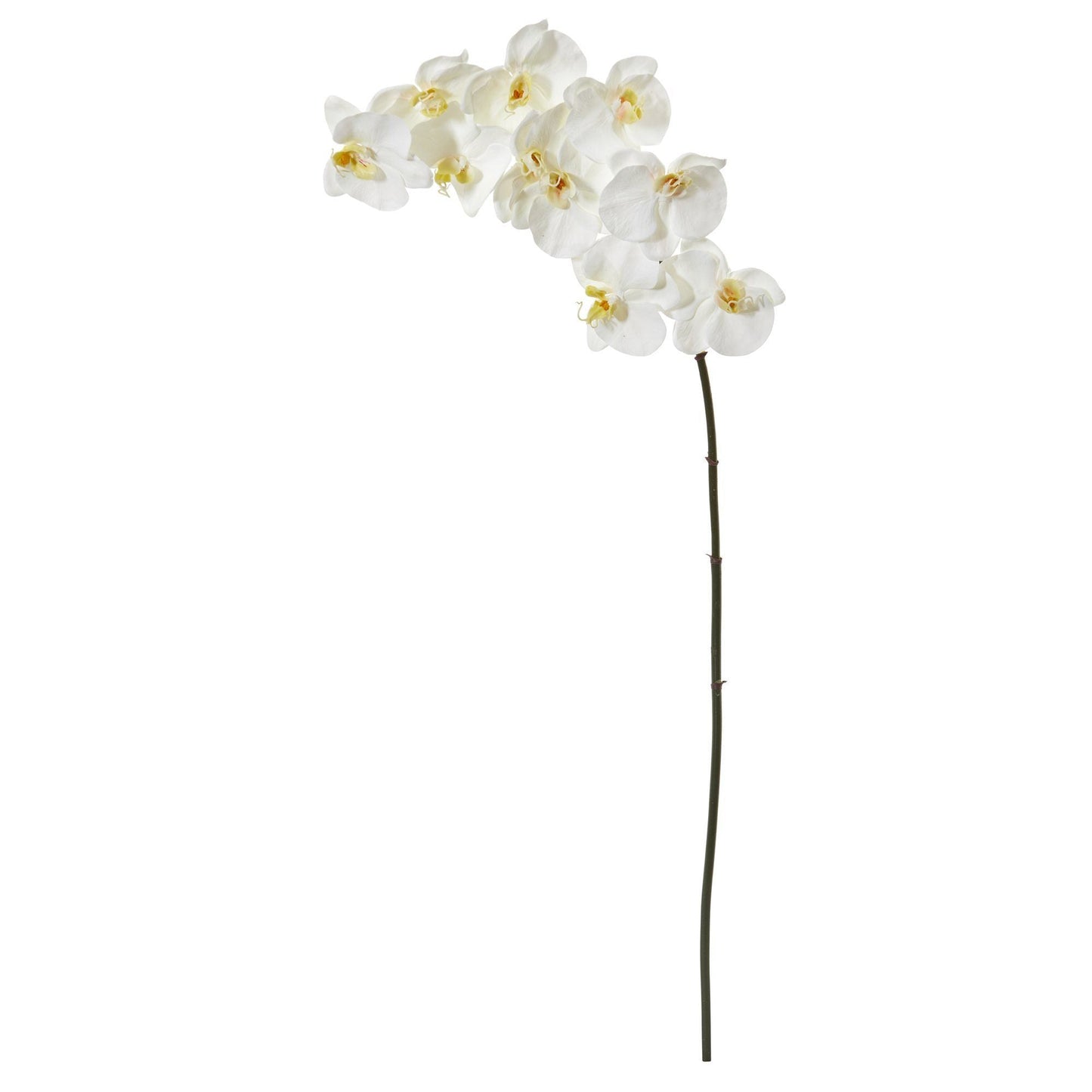 Artificial 44 Inch Phalaenopsis Orchid and Stem