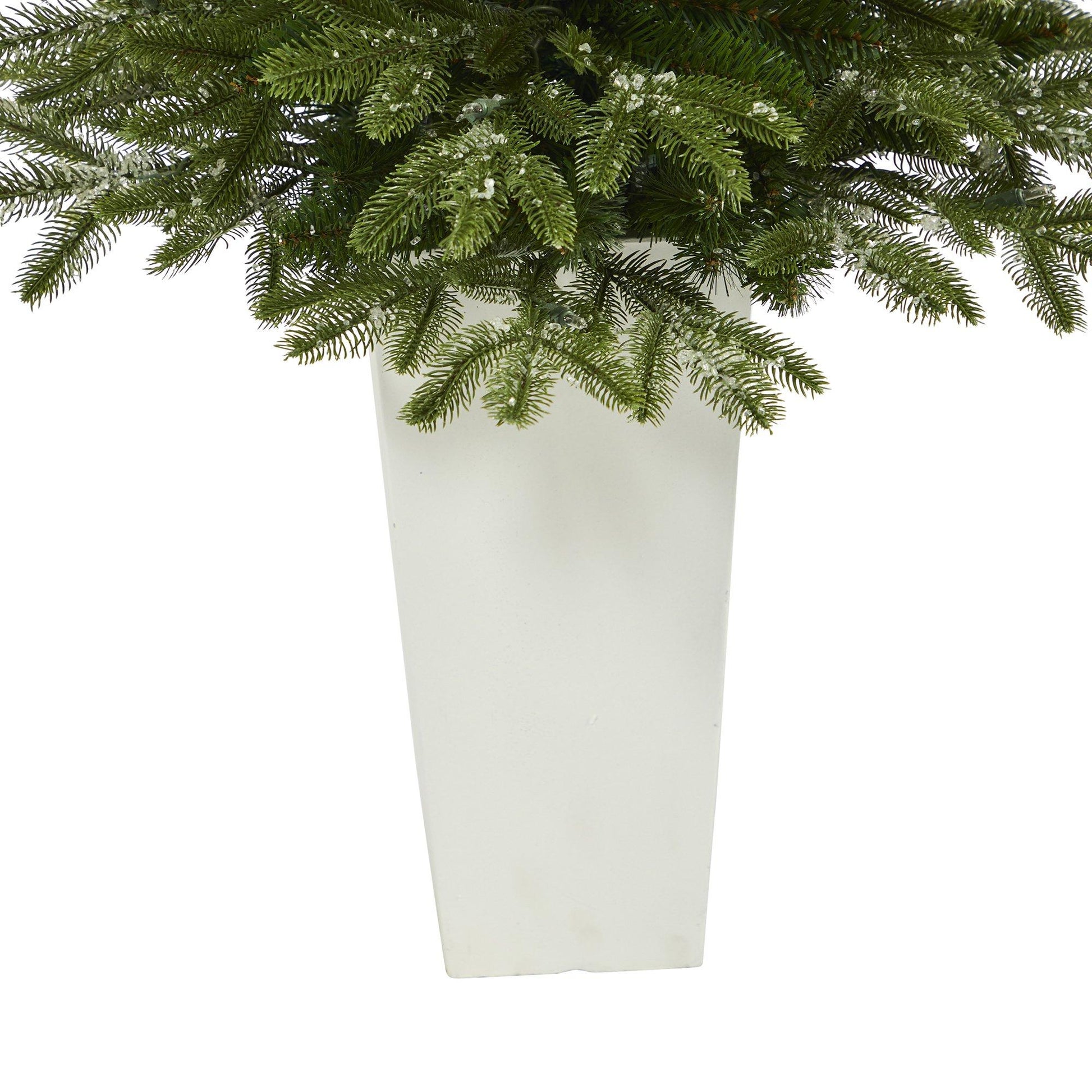 44” Snowed Grand Teton Fir Christmas tree with clear lights and branches in white planter on Tampa Home & Garden Store