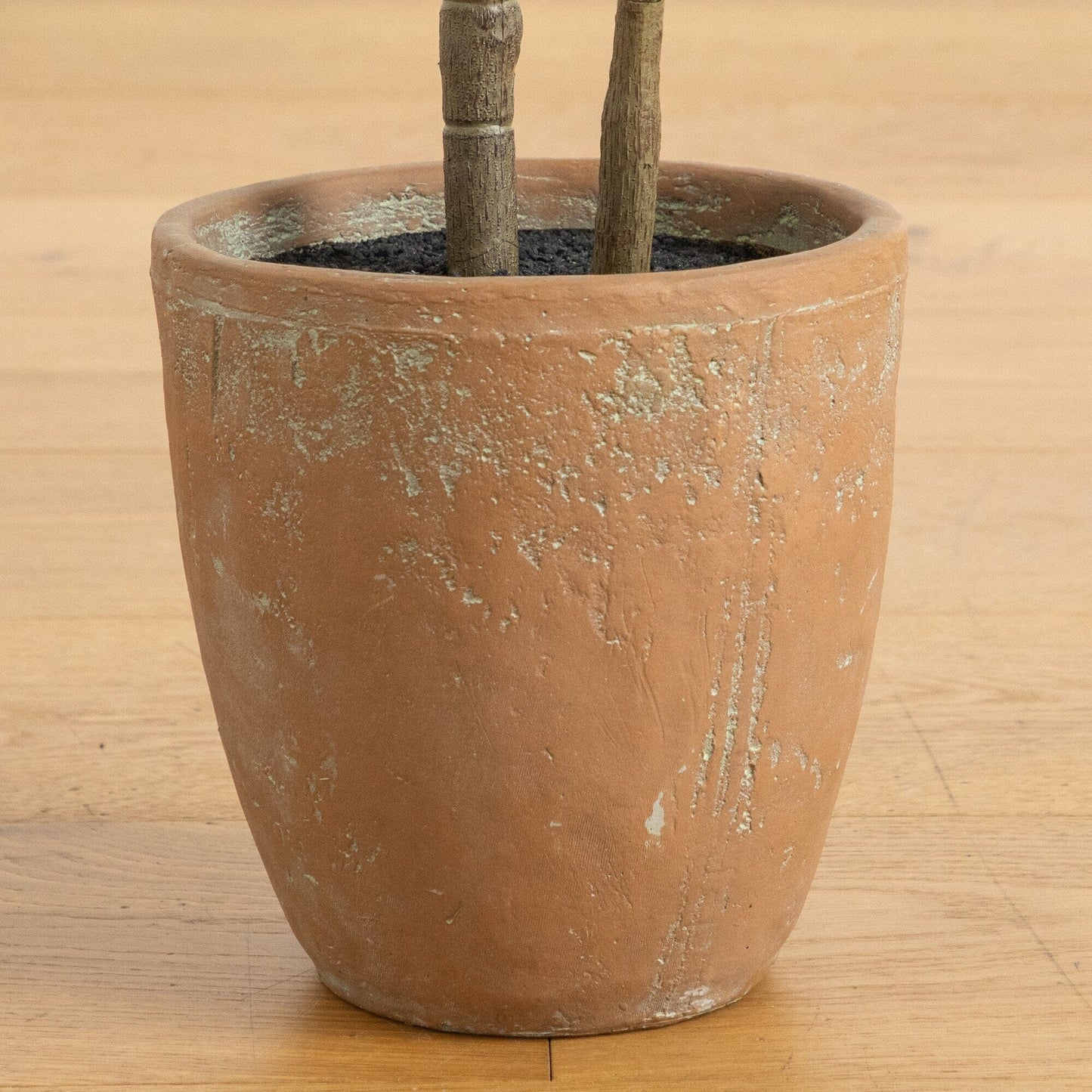 Artificial rubber tree by Nearly Natural in decorative terracotta planter with dark soil on Tampa Home & Garden Store