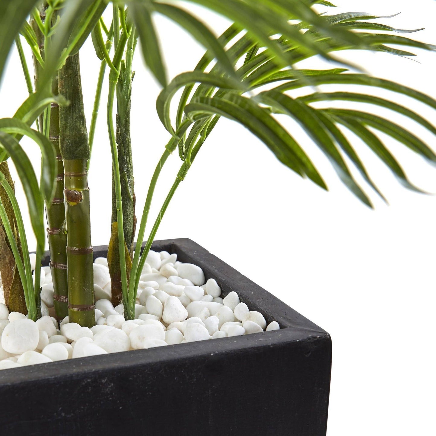 Areca Palm Tree in black wash planter, UV resistant indoor/outdoor on Tampa Home & Garden Store