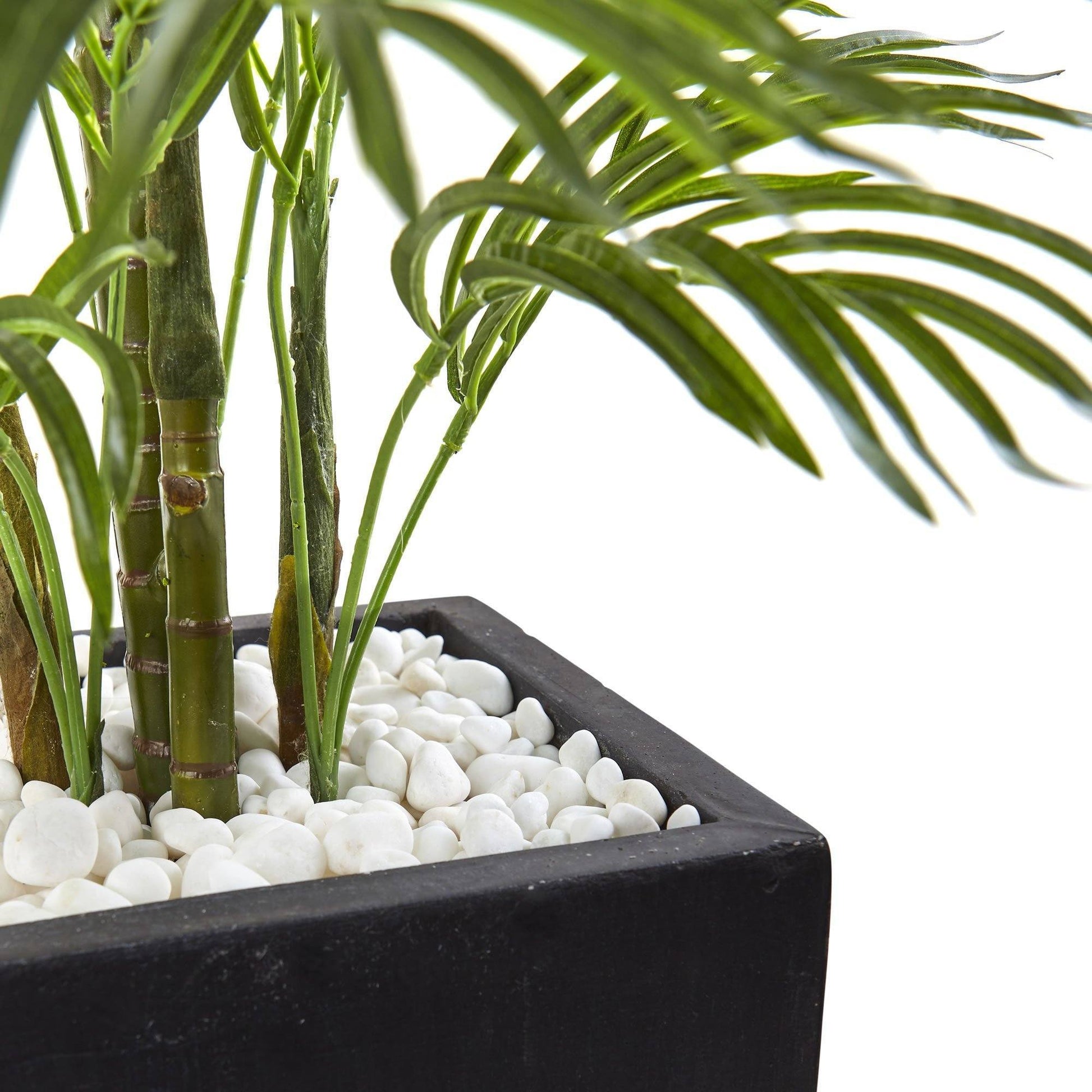 Areca Palm Tree in black wash planter, UV resistant indoor/outdoor on Tampa Home & Garden Store
