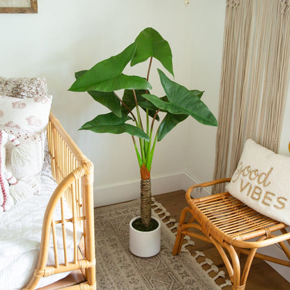 Artificial Arrowhead Plant In A White Planter