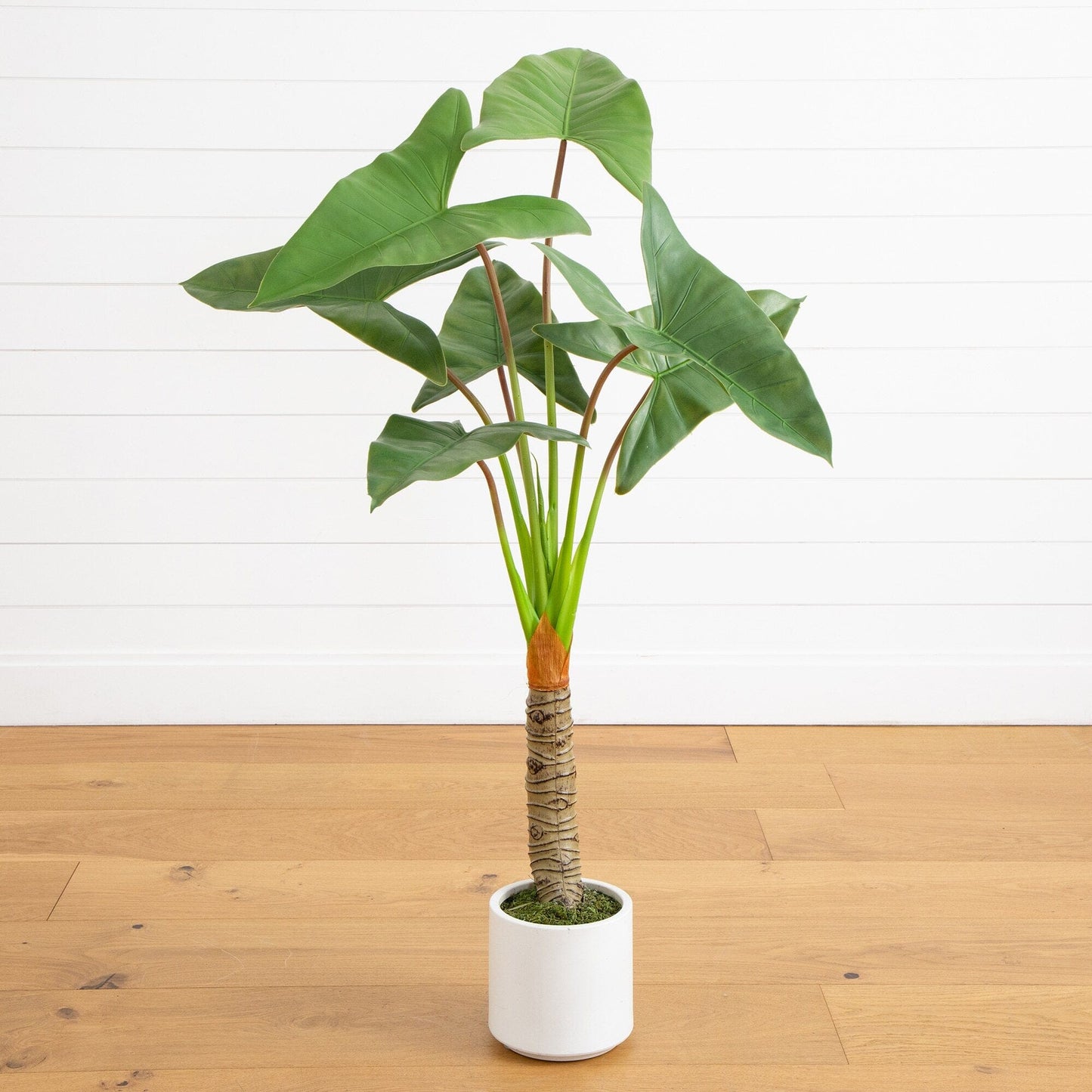 Artificial Arrowhead Plant In A White Planter