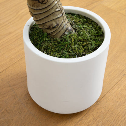 Artificial Arrowhead Plant In A White Planter