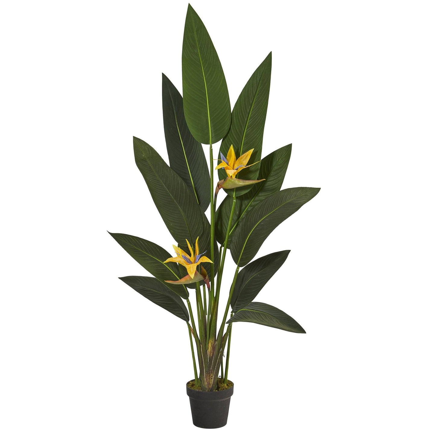 Indoor Bird of Paradise Artificial Tropical Plant