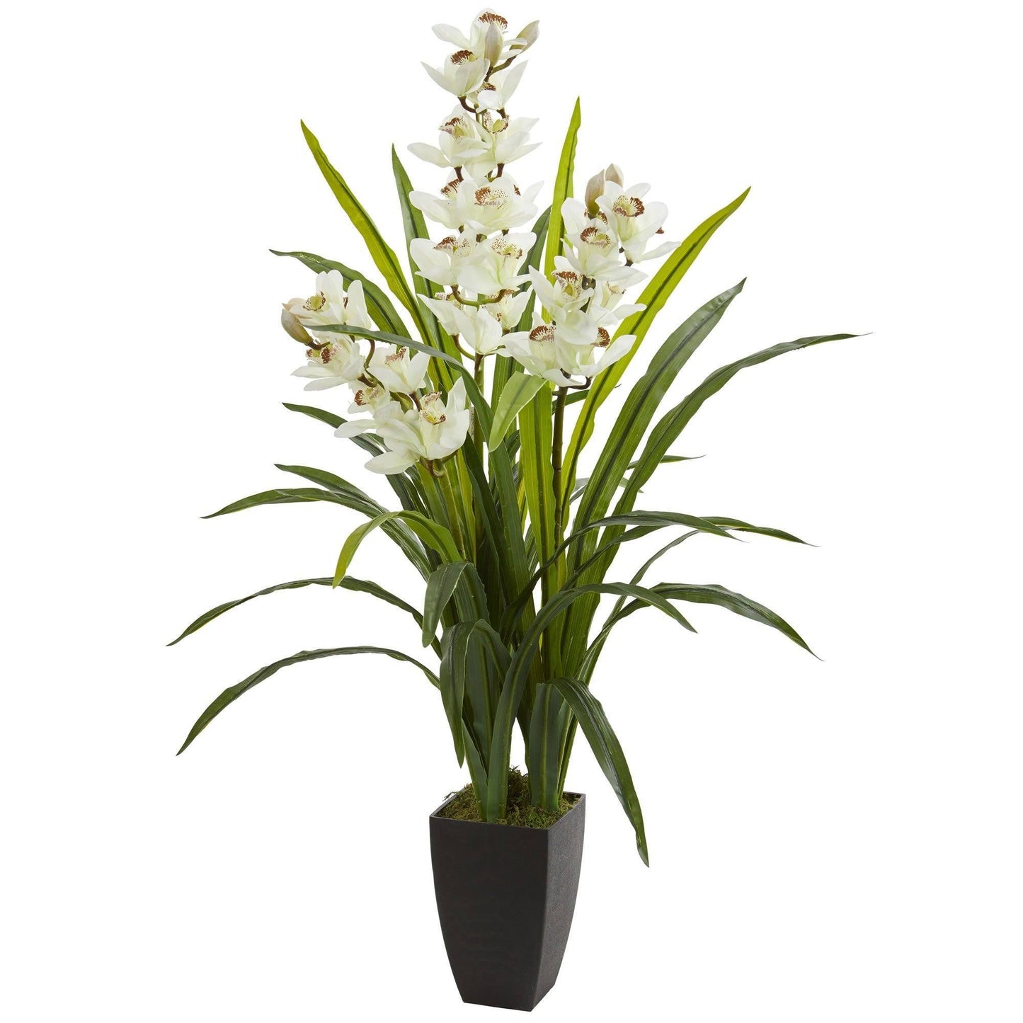 45” Cymbidium Orchid Artificial Plant with white blooms and green leaves in a black planter on Tampa Home & Garden Store