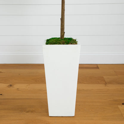 4.5 ft fiddle leaf fig tree trunk in a white square planter with moss cover artificial tree on Tampa Home & Garden Store