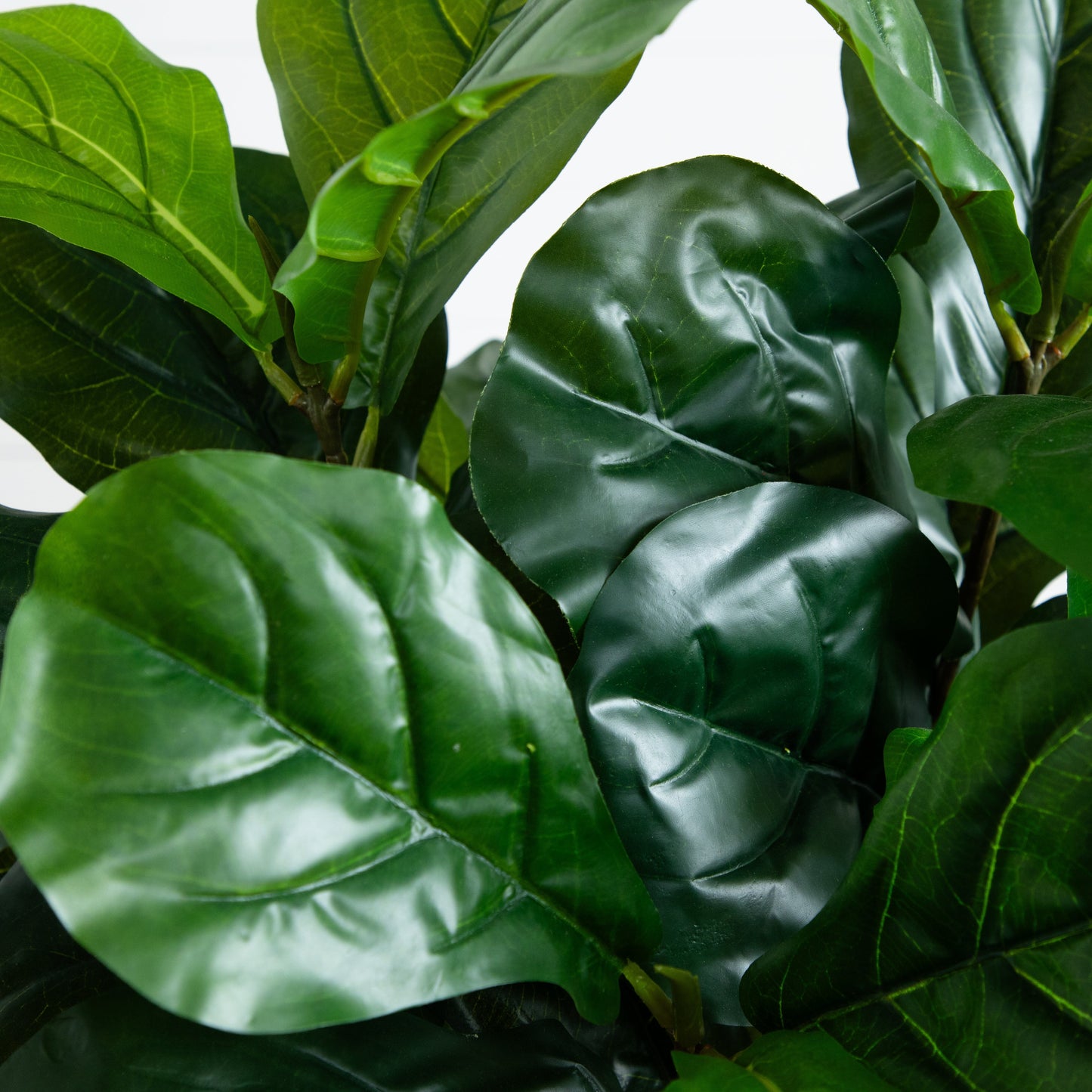Fiddle Leaf Fig Tree leaves in real-touch green artificial foliage Nearly Natural on Tampa Home & Garden Store