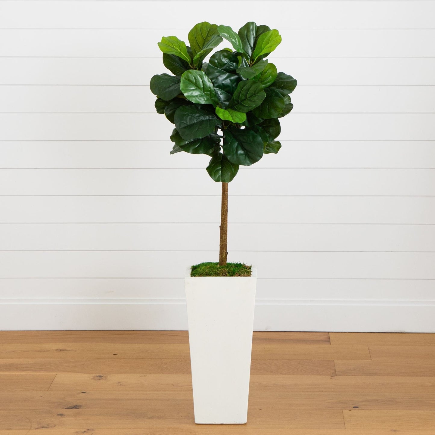 4.5ft fiddle leaf fig tree in white planter with moss top Nearly Natural Real Touch artificial on Tampa Home & Garden Store