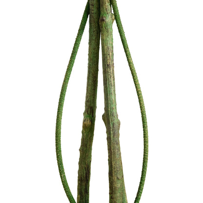Artificial Ficus tree 4.5 ft UV resistant Nearly Natural with trunks on Tampa Home & Garden Store on Tampa Home & Garden Store