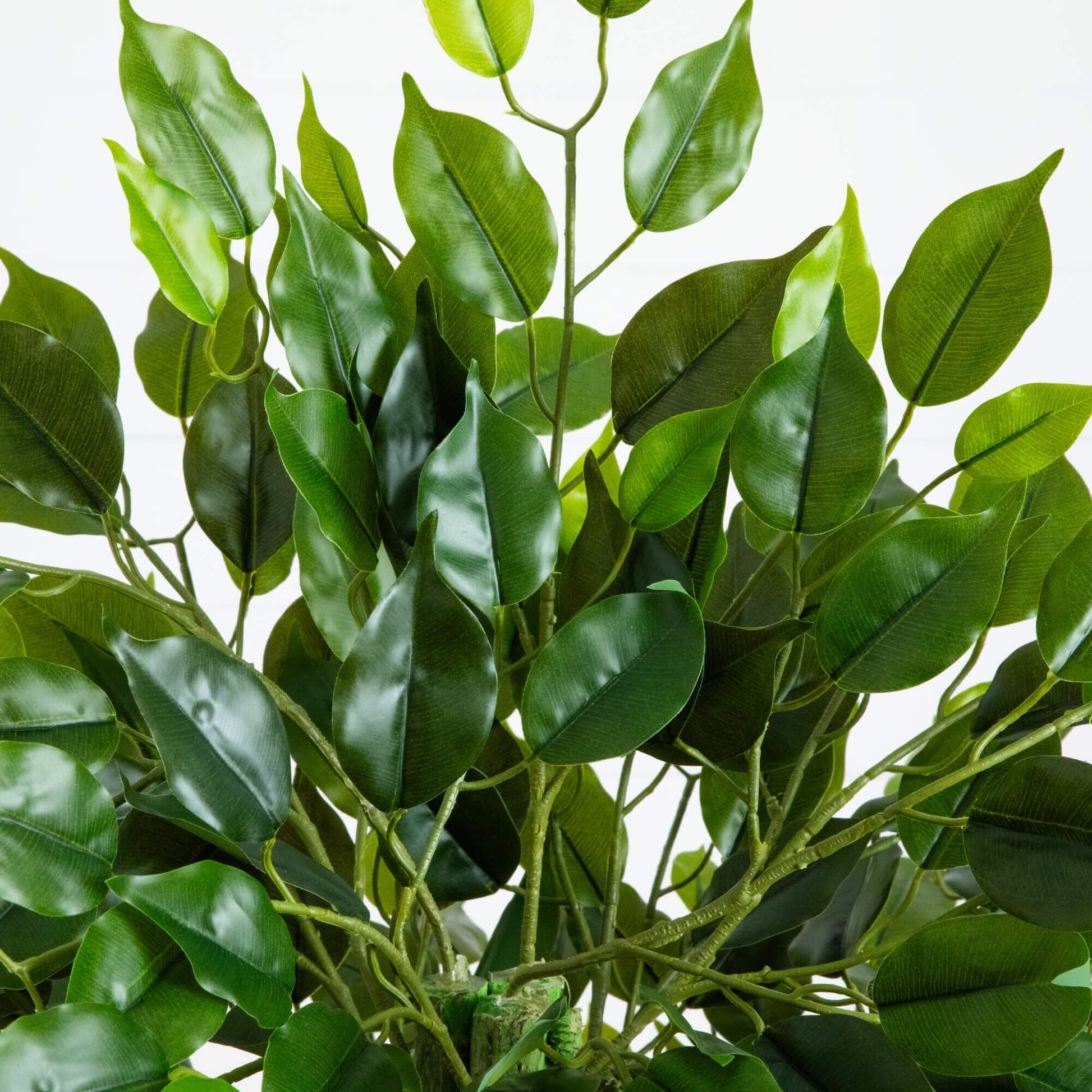 4.5-ft UV Resistant Artificial Ficus Tree by Nearly Natural with glossy green leaves on Tampa Home & Garden Store