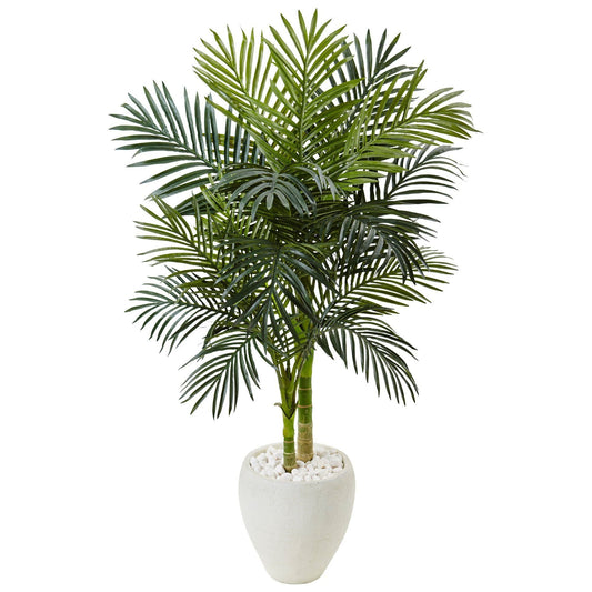 4.5’ Golden Cane Palm Tree in White Oval Planter with white decorative stones on Tampa Home & Garden Store