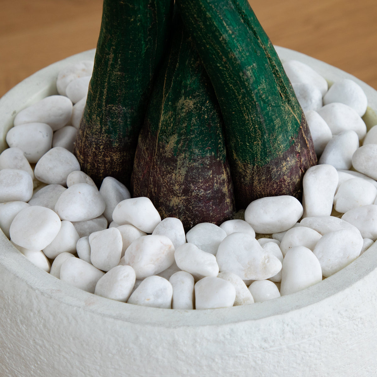 Money Tree artificial plant, 4.5 ft, green trunk in white planter with stones by Nearly Natural on Tampa Home & Garden Store