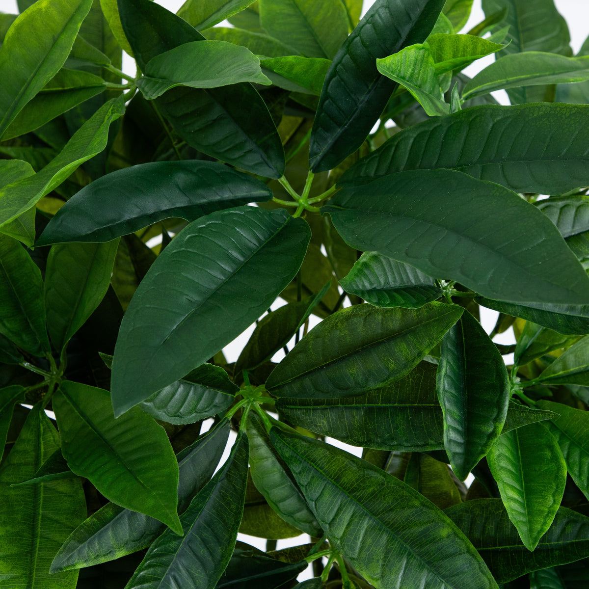 Artificial Money Tree Real Touch leaves closeup, dark green foliage Nearly Natural on Tampa Home & Garden Store