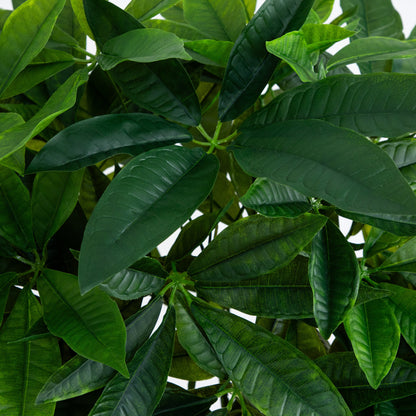 Artificial Money Tree Real Touch leaves closeup, dark green foliage Nearly Natural on Tampa Home & Garden Store