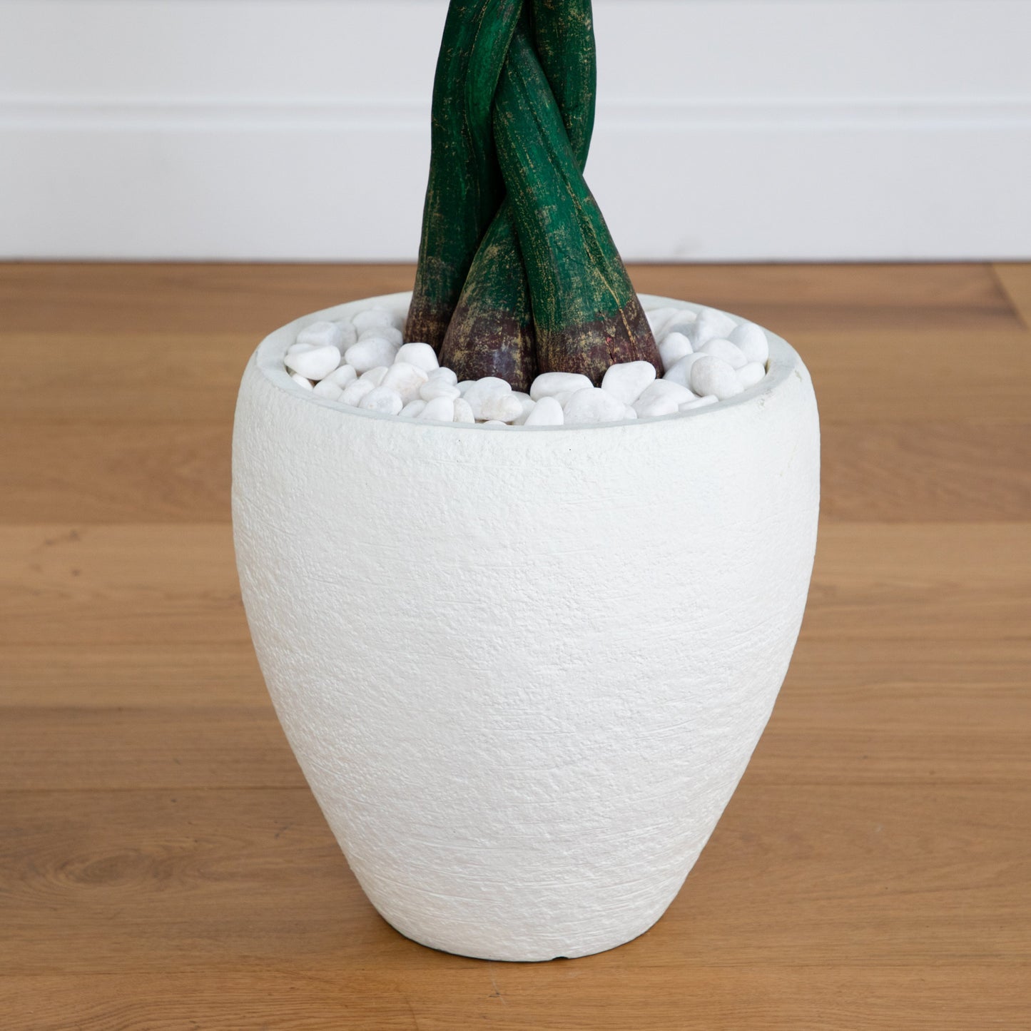 Money Tree artificial tree in white oval planter with white decorative stones on Tampa Home & Garden Store