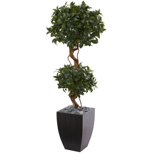 4.5' Sweet Bay Artificial Double Topiary Tree in Black Wash Planter - Tampa Home & Garden Store