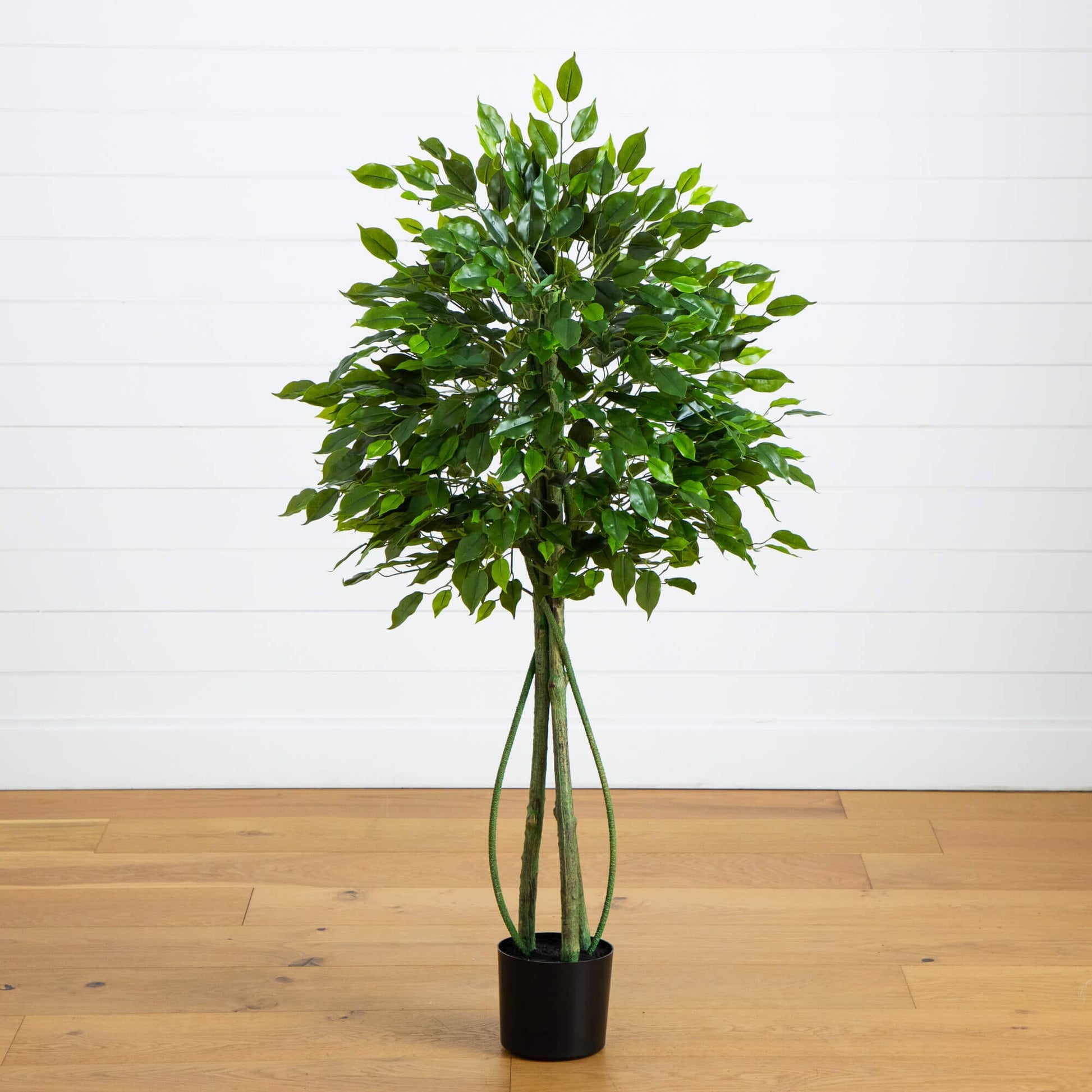 Artificial Ficus Tree, 4.5-ft UV resistant, Nearly Natural in a black pot on Tampa Home & Garden Store