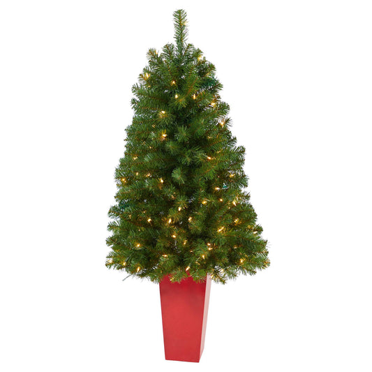 4.5' Virginia Fir Xmas tree with 223 bendable branches and 100 clear lights in red planter on Tampa Home & Garden Store