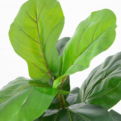 Fiddle Leaf Fig Tree in Decorative Planter, 45in artificial Nearly Natural large green leaves on Tampa Home & Garden Store