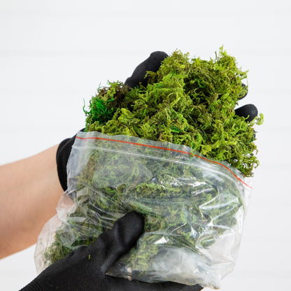 Artificial green moss bundle in a clear plastic bag held by a gloved hand on Tampa Home & Garden Store