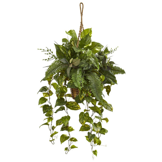 46" Mixed Pothos and Boston Fern in Hanging Basket" - Tampa Home & Garden Store