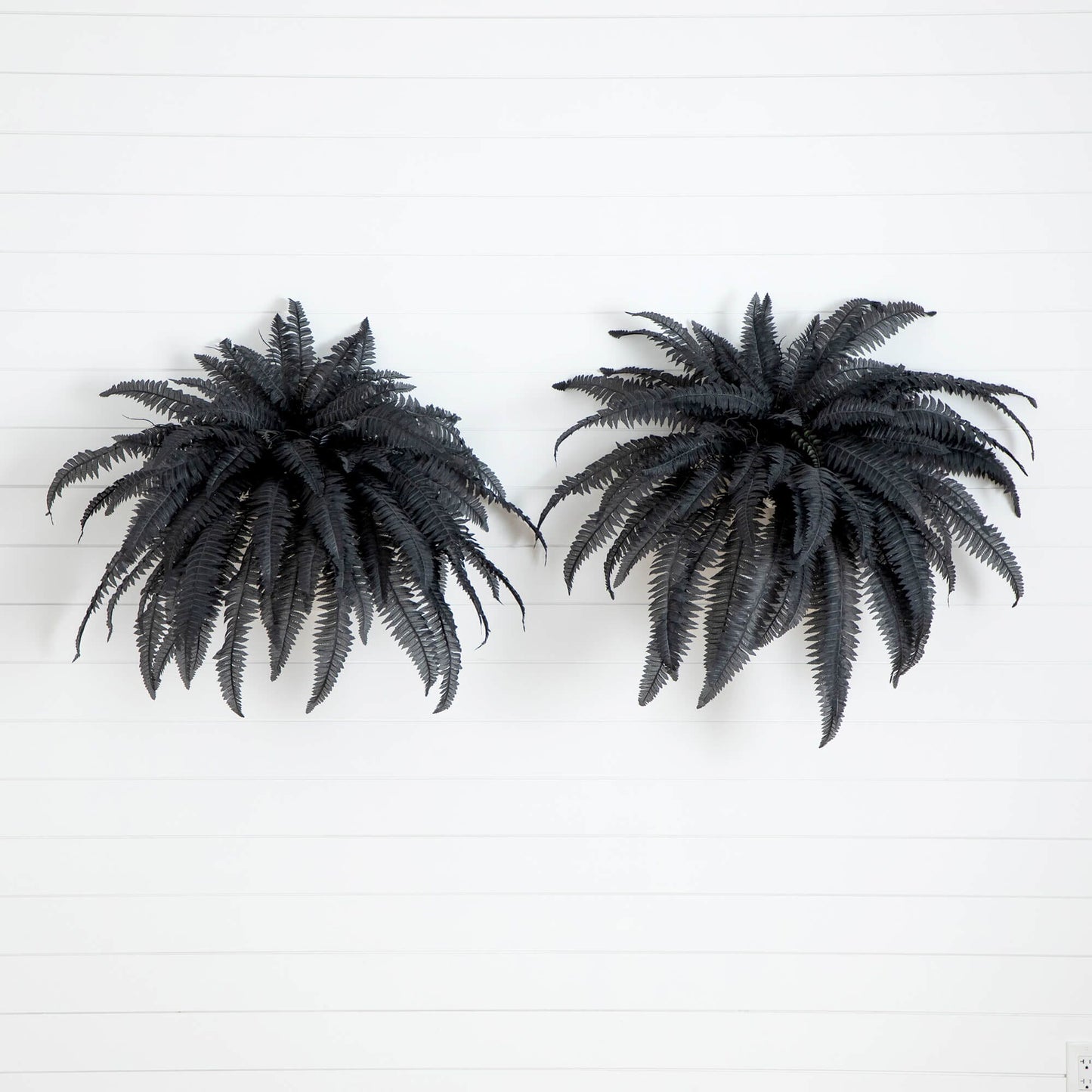 48in Artificial Halloween Black Boston Ferns by Nearly Natural, set of 2, black faux ferns on Tampa Home & Garden Store