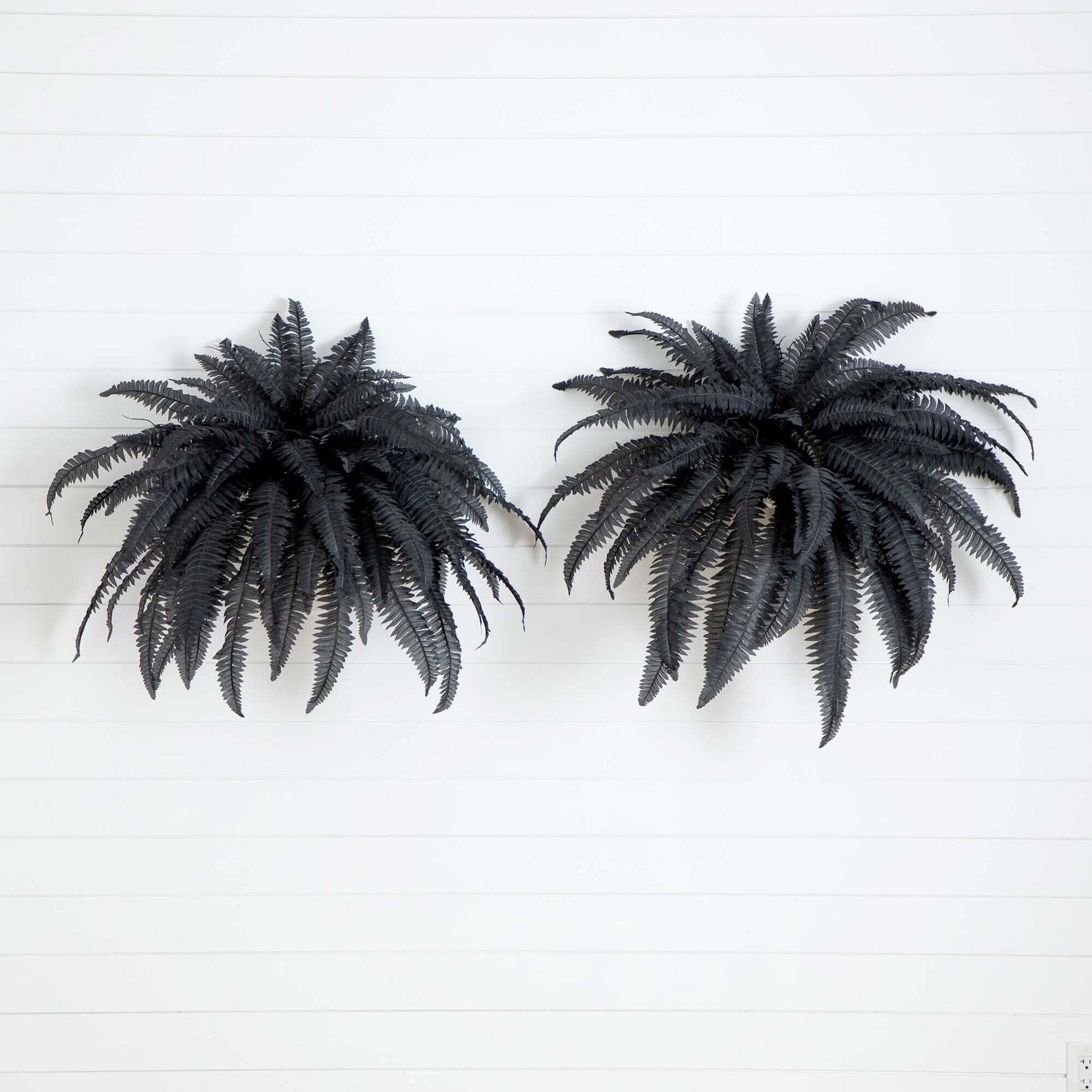 48in Artificial Halloween Black Boston Ferns by Nearly Natural, set of 2, black faux ferns on Tampa Home & Garden Store