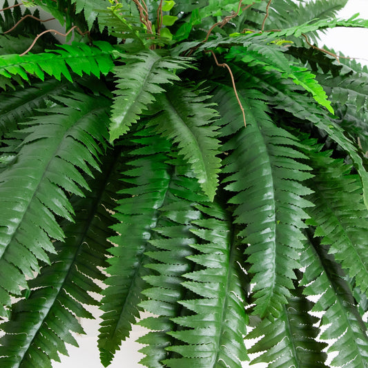 48in Boston Fern 2-pack bush, artificial non-flowering plant by Nearly Natural with fronds on Tampa Home & Garden Store