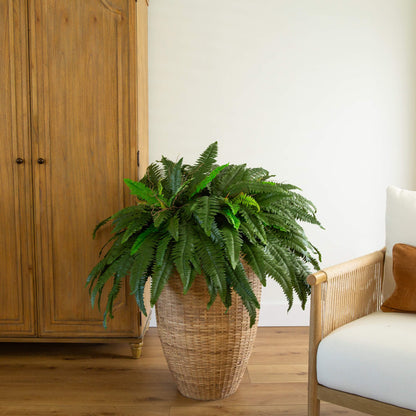 48” Boston Fern set of 2 artificial non-flowering bush by Nearly Natural in wicker basket on Tampa Home & Garden Store