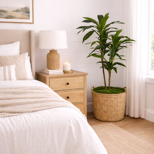 48" Dracaena Silk Plant (Real Touch) - Tampa Home & Garden Store