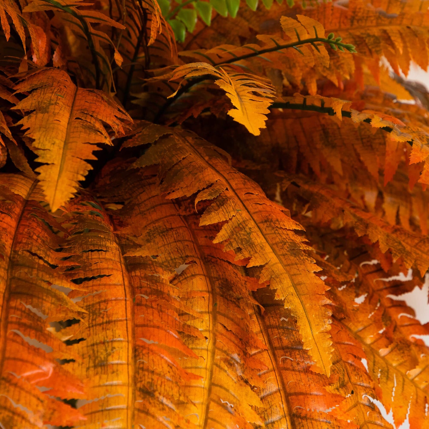Artificial Boston Fern 48in Autumn set of 2 Nearly Natural orange fall fronds on Tampa Home & Garden Store