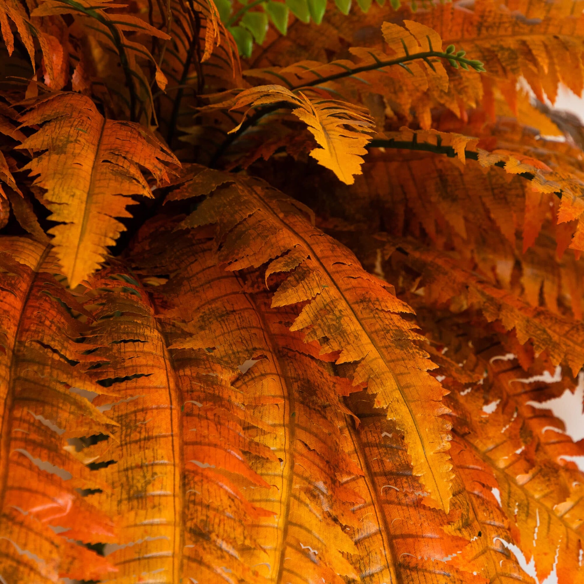 Artificial Boston Fern 48in Autumn set of 2 Nearly Natural orange fall fronds on Tampa Home & Garden Store